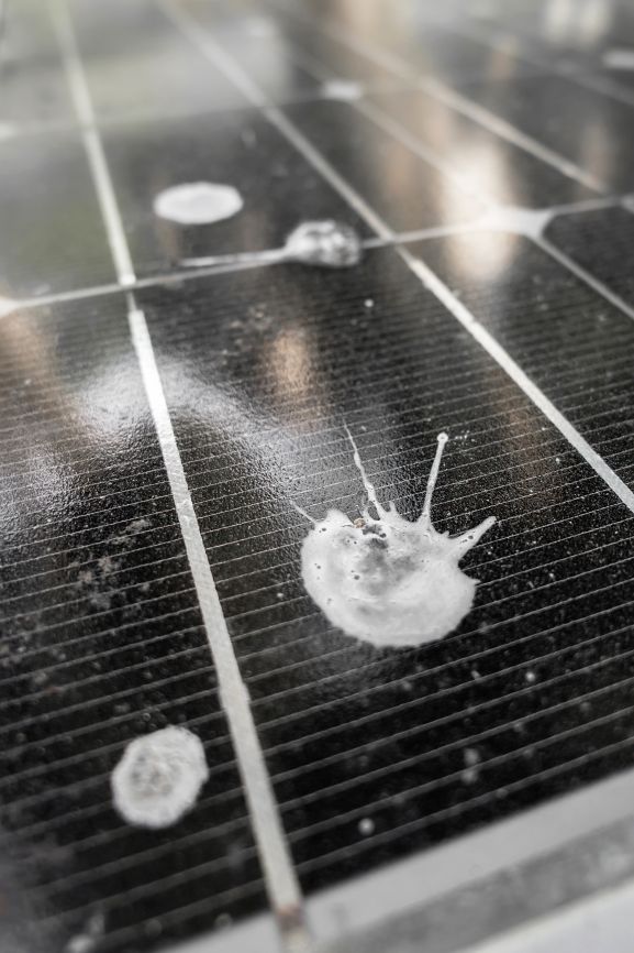Close-up of a dirty solar panel with bird droppings blocking sunlight on the surface
