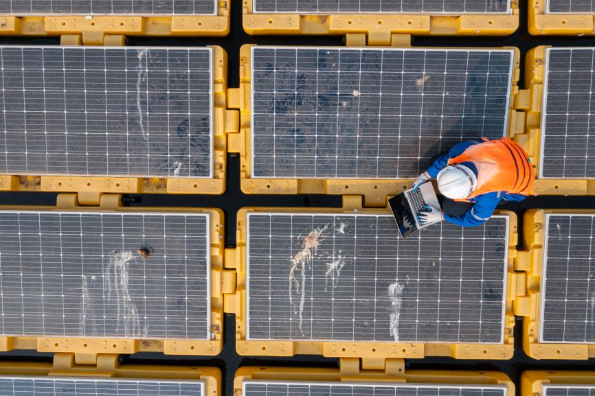 solar panel bird proofing with professionals